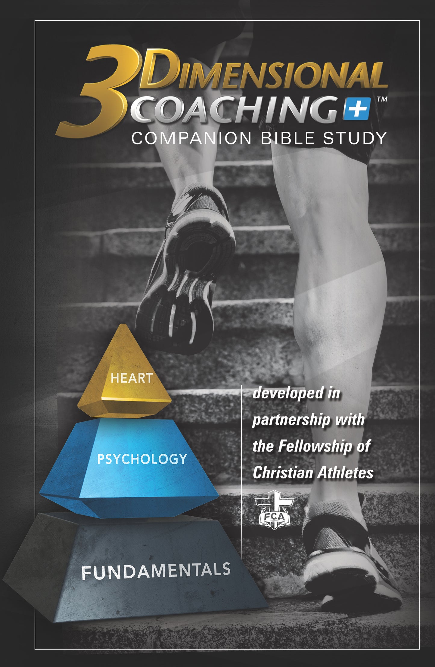 3D Coaching Bible Study